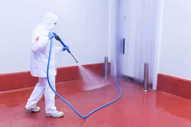 Best Pre-Holiday Cleaning  in Kingsley, MI