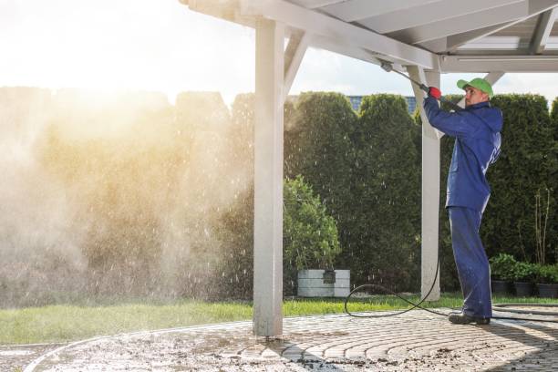 Best Sidewalk and Walkway Cleaning  in Kingsley, MI